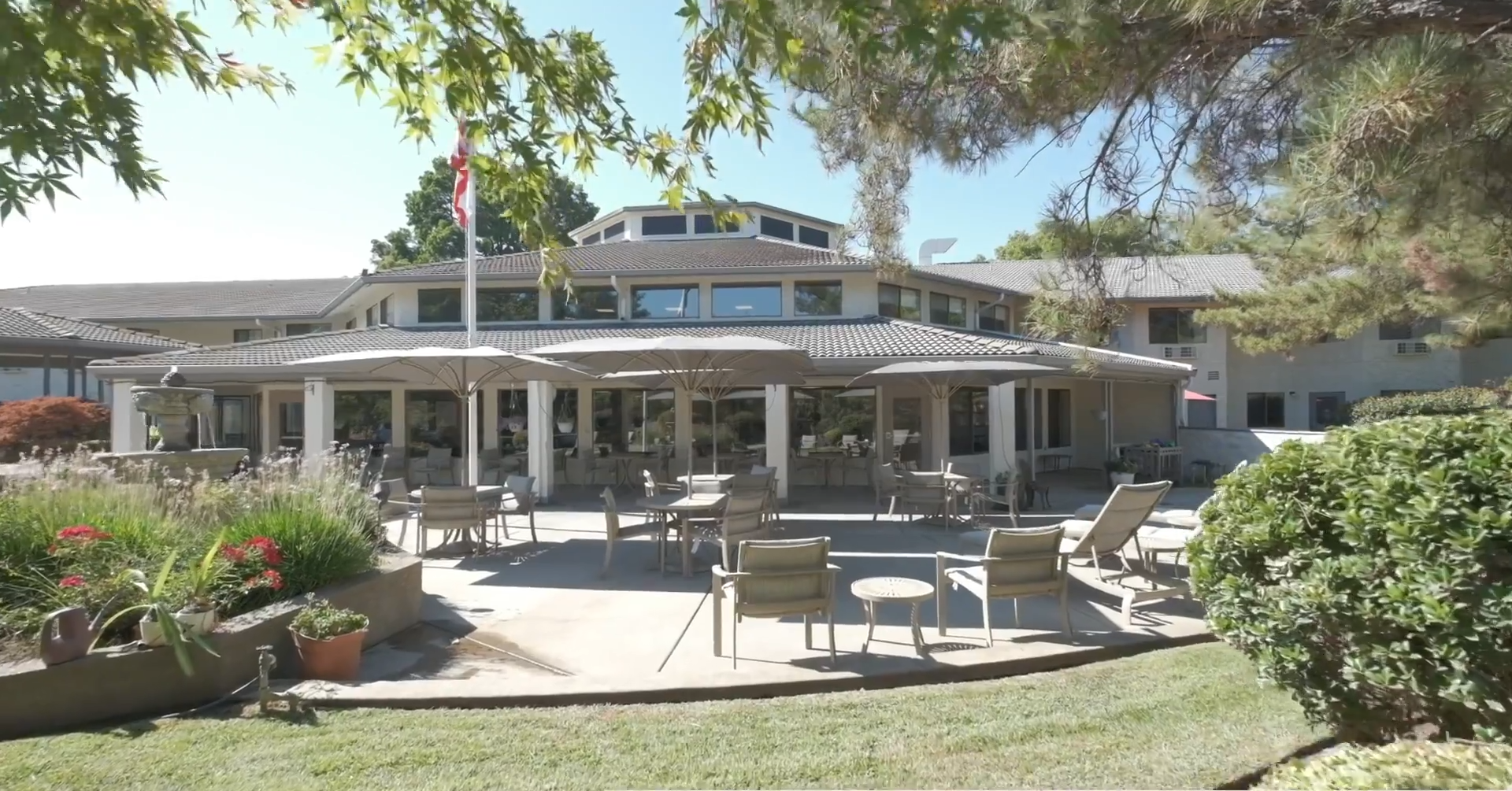 Provincial Chico Thumbnail-1